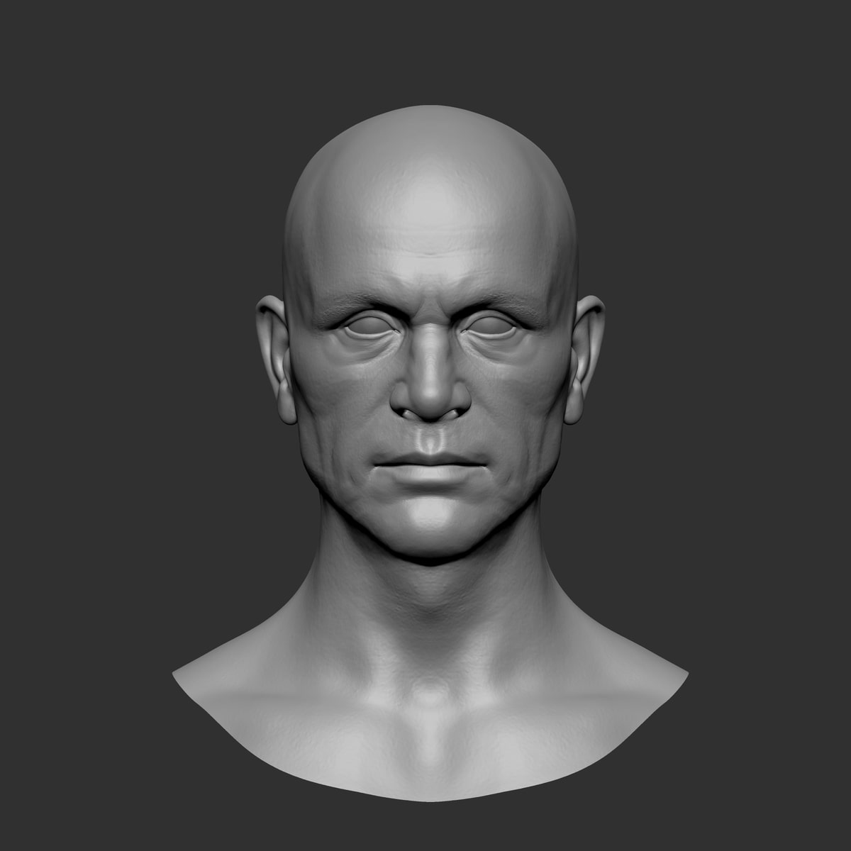 Front view of a bald male head and shoulders sculpted in gray, with detailed facial planes and skin texture