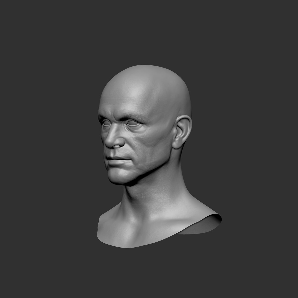 Three-quarter view of the male portrait sculpture, showing cheekbones, jaw and neck anatomy