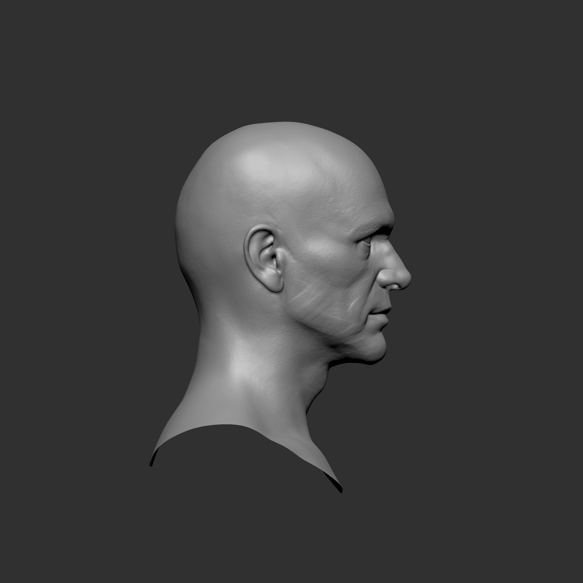 Side profile of the male portrait sculpture, showing the ear, nose and jaw silhouette